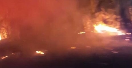 Wildfire Burns Along Hernando County Roadside