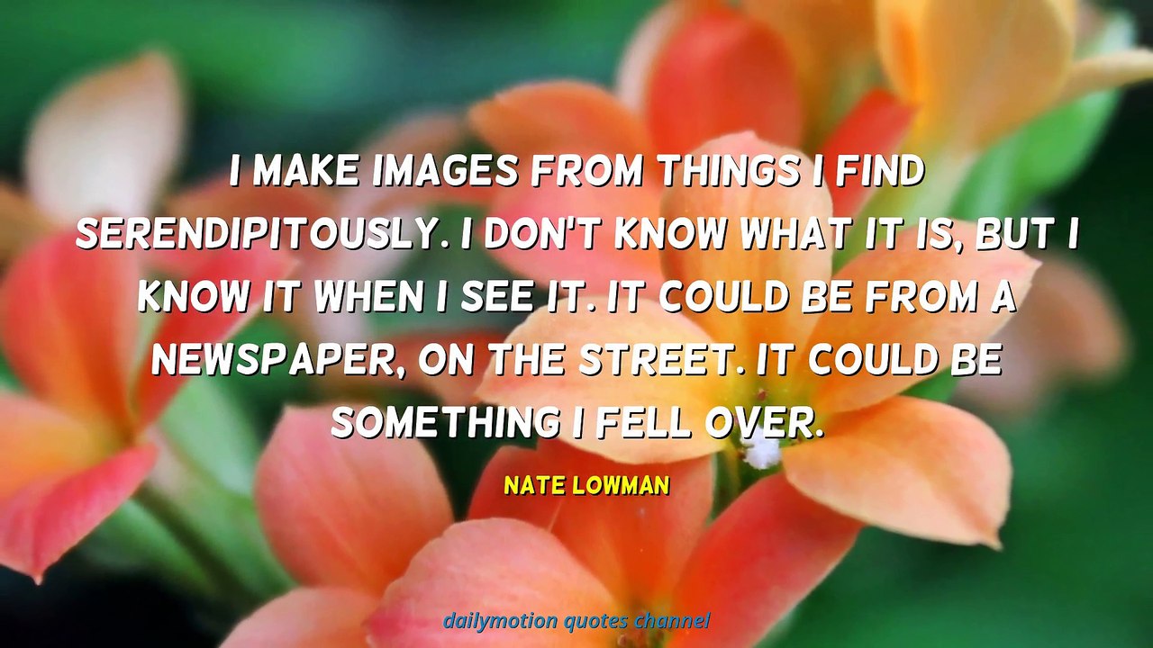 Nate Lowman Quotes