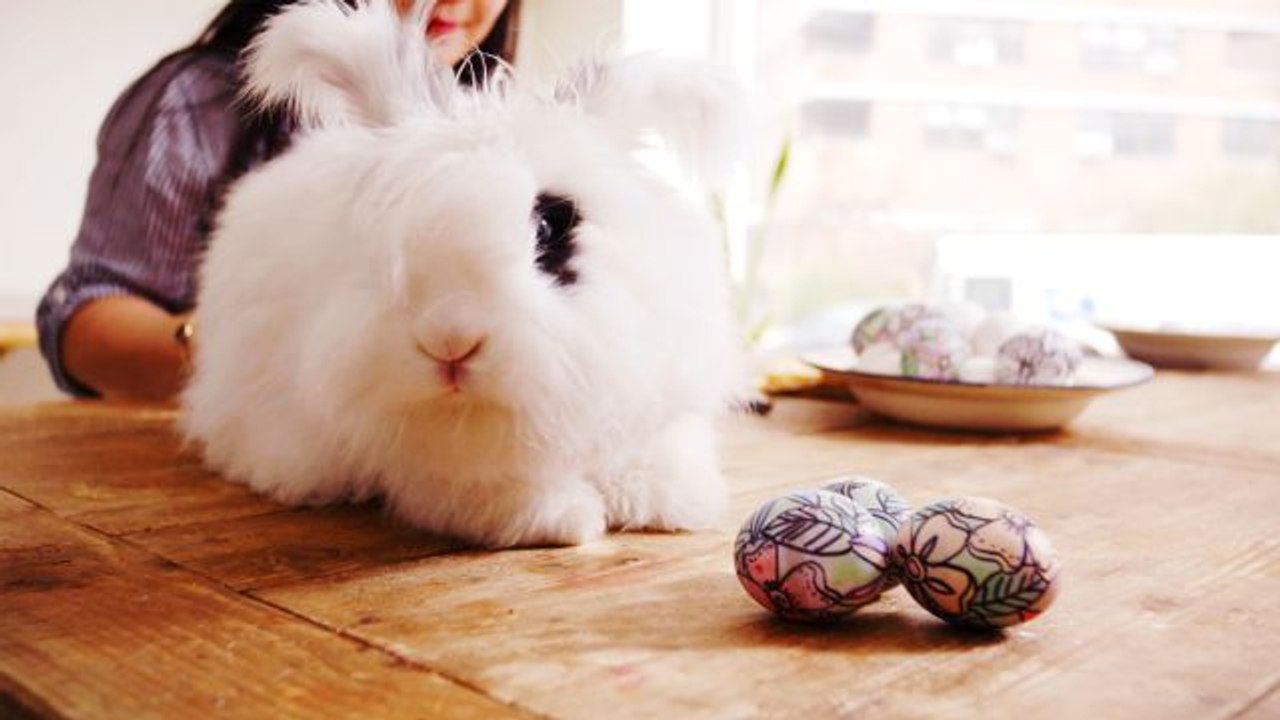 Coloring Book Easter Eggs
