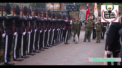 Пингвин жжет