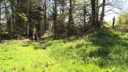 JT breton du mercredi 12 avril 2017