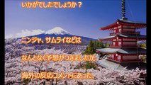 【ほっこりする話外国人】日本を楽しんでいる外国人の話３つ　　【日本びいき】