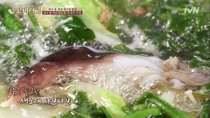 해산물 덕후 모여라! 달큰 쫄깃 새조개 샤브샤브!