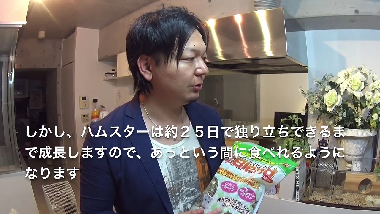 ロボロフスキーハムスター 出産後１日目