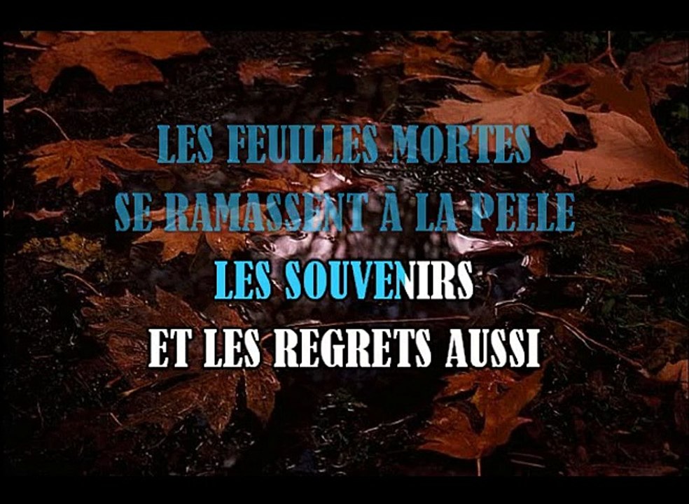 Sans Titre