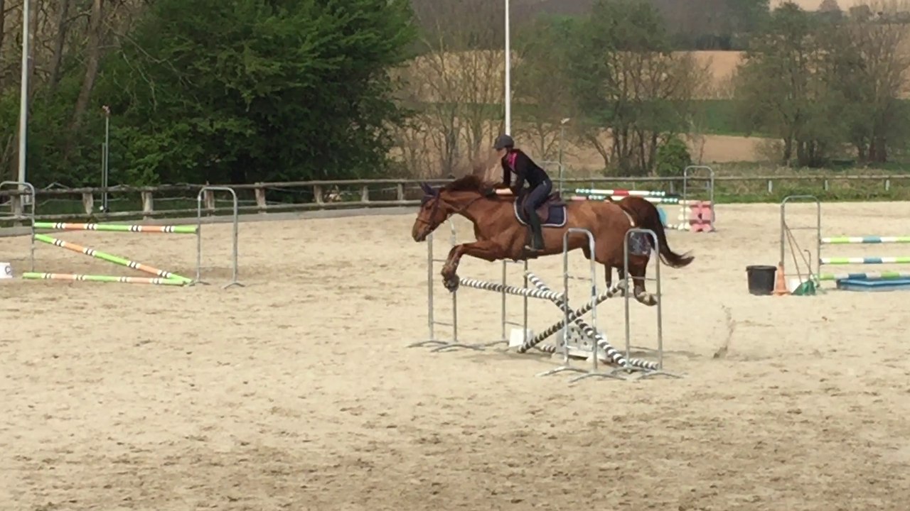 Sexy Boy de Belgy - Obstacle le 11 avril 2017 - 1