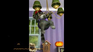 talking tom funny videos and jokes