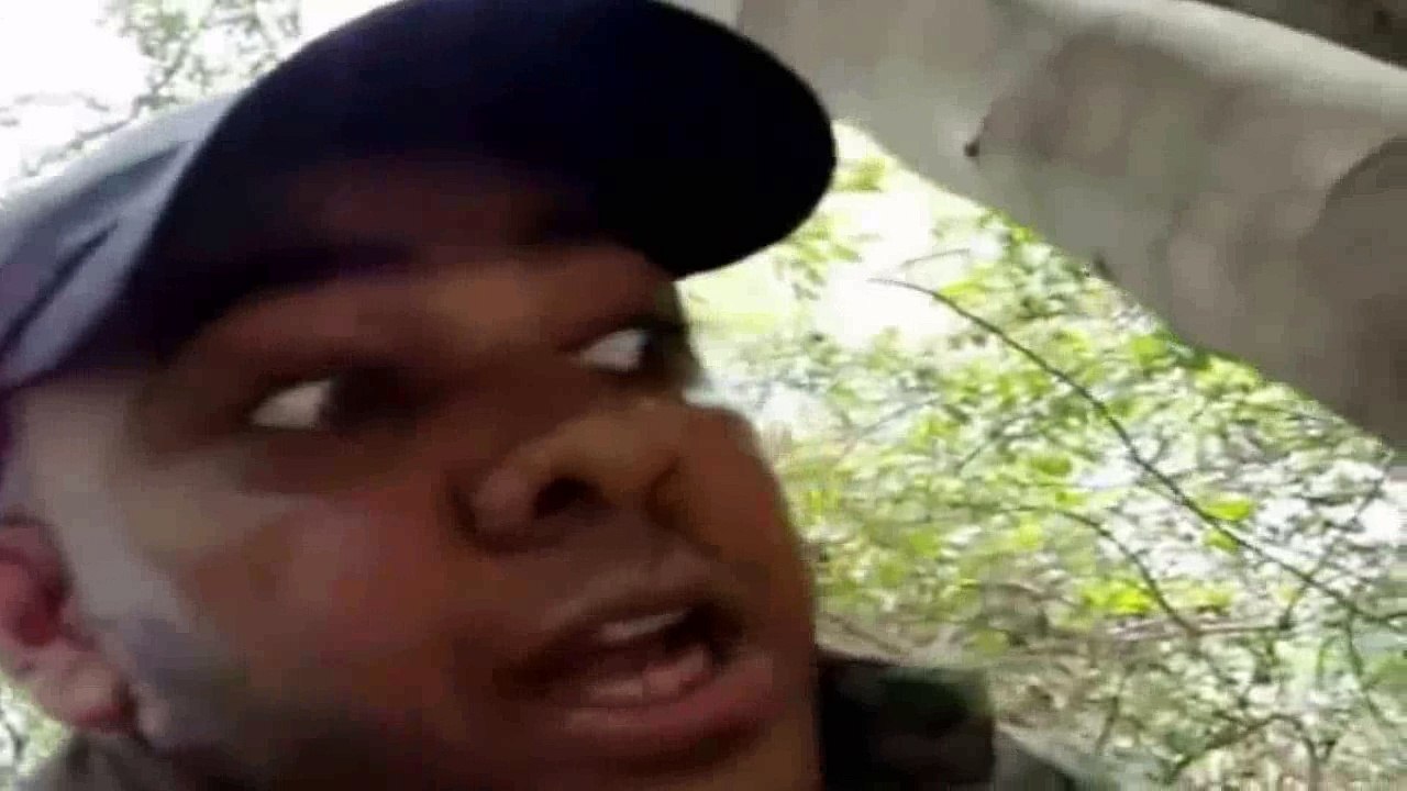 Elektrikli Yılan Balığı Aç Bir Timsahı Ne Hale Getirebilir