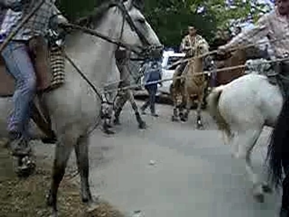 Bandido Saint-Chaptes 29/09/2007 N°3