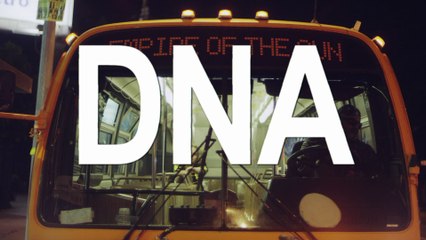 Empire Of The Sun - DNA