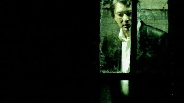 Alain Bashung - La nuit je mens