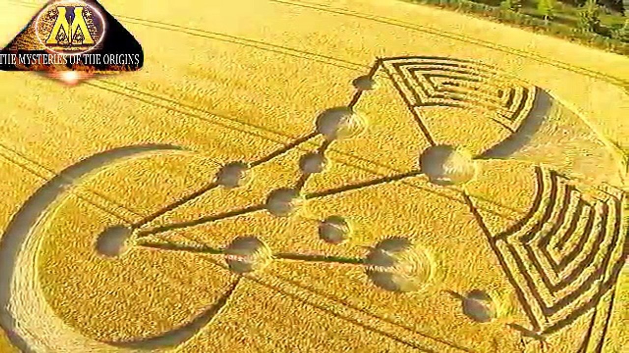 Il complotto dei governi per insabbiare la verità sui cerchi nel grano.