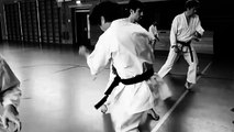 karate kick : Ushiro Geri