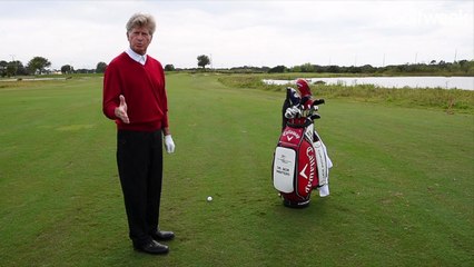 Cost vs. reward decision making