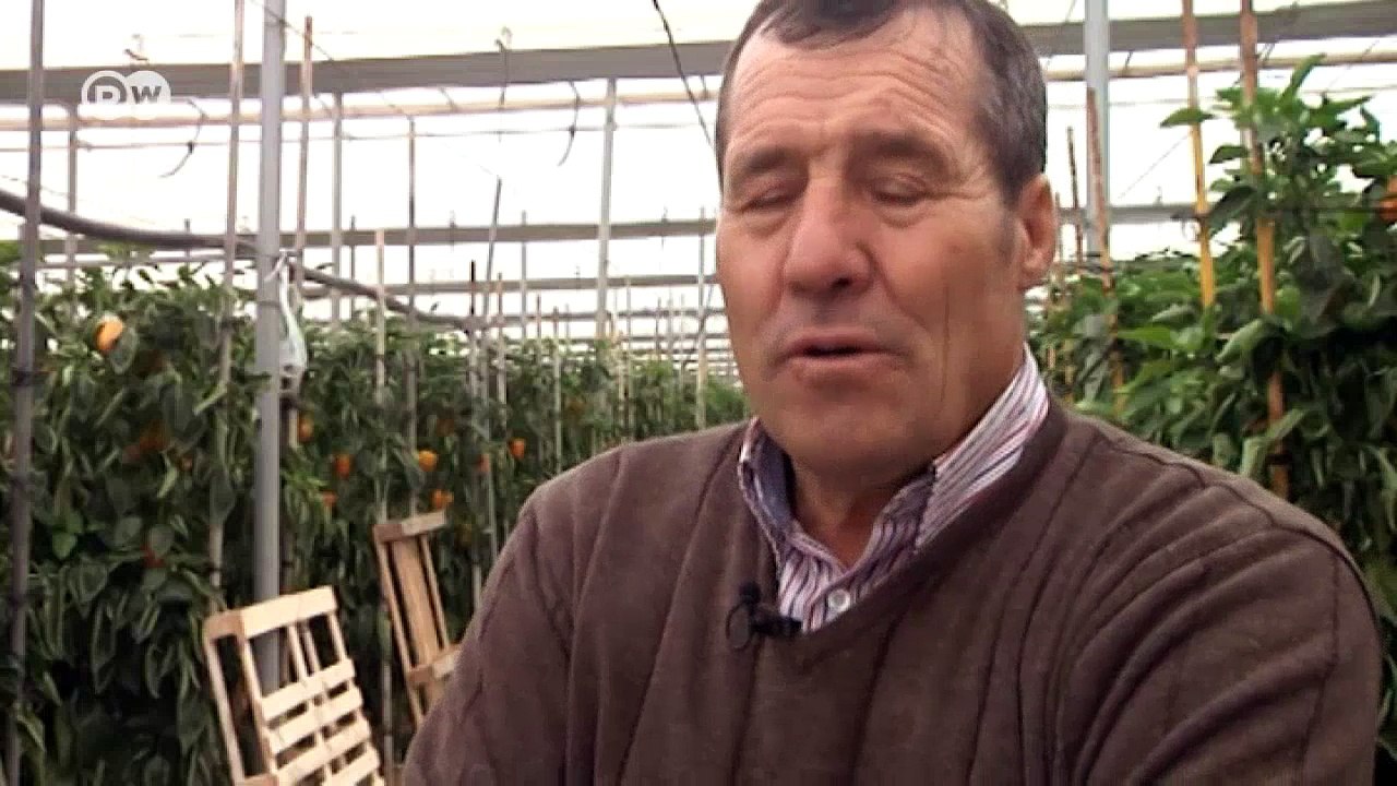 Spanien: Tagelöhner für Billiggemüse | DW Deutsch