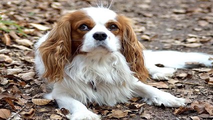 [강서키스방]강서마사지[아달]강서안마