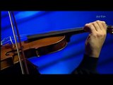 Vivaldi - The Four Seasons
