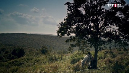 Diriliş 'Ertuğrul' 31.Bölüm
