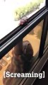 Woman films and leaves her Ethiopian maid to fall from the 7th floor http://BestDramaTv.Net