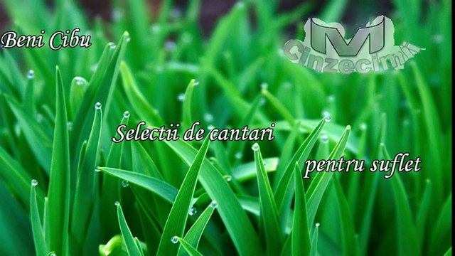 Beni Cibu - Selectii de cantari crestine pentru suflet