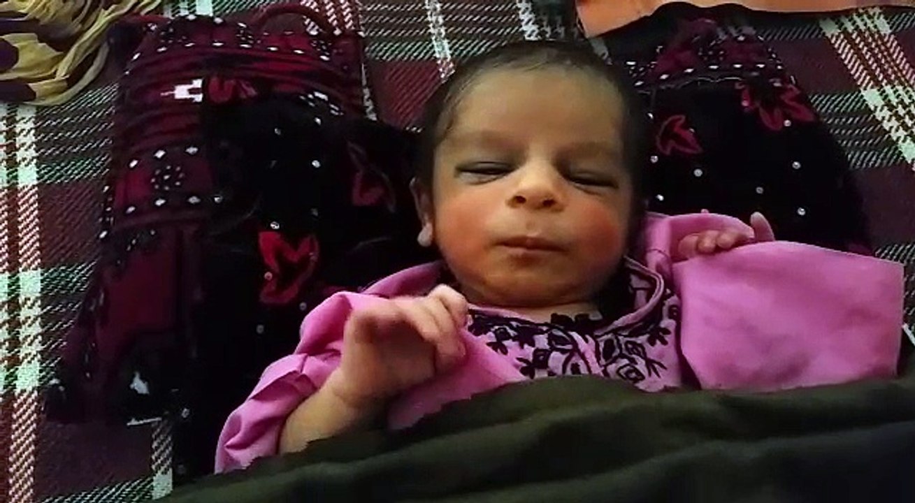 چھوٹا ابلا