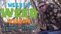 WEEKLY WEED WISDOM LESSON #6: Smoking Near Your Kids School