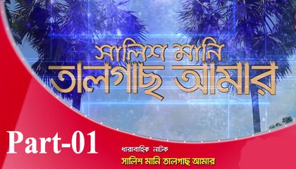 Bangla Natok Salis Mane Talgas amar Part  01
