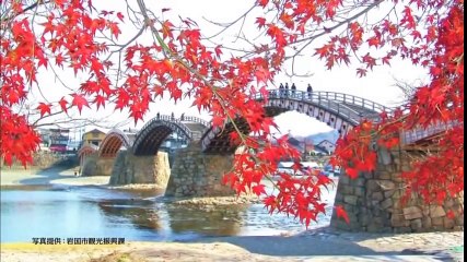 釣り百景　東西の魚の楽園でシーバスを狙う