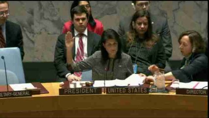 La fractura sobre Siria continúa en la ONU con otro veto de Rusia