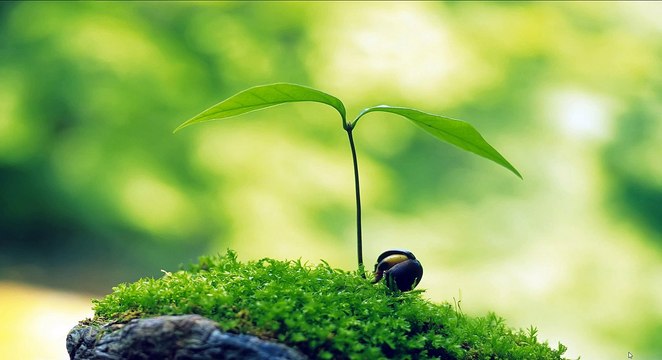 #16 - Cara Upgrade Akun Google Adsense Hosted Youtube Ke Non Hosted