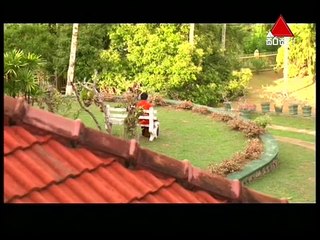 Pehasara 12th April 2017