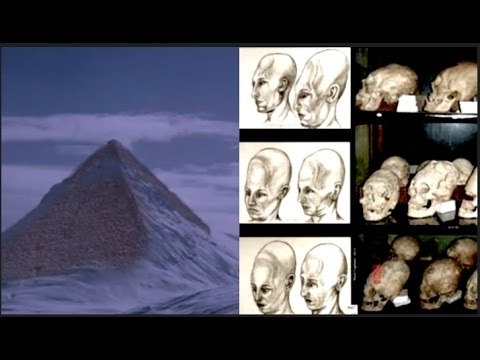 Flash Frozen Civilization found in Antarctica of Elongated Paracus Skulls - Joseph Reyna