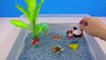 Learn Sea Animal Names, and colors and Counting numbers with Aqua Water Fish Toys Learning for