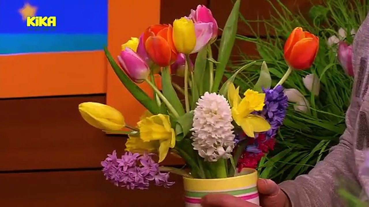 Baumhaus | Mehr auf KiKA.de