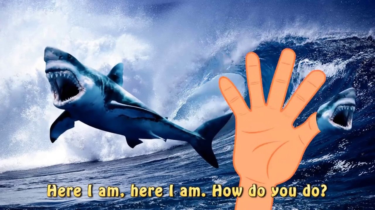 Finger Family Shark VS Shark Jaws Battle Mega finger Shark Comp
