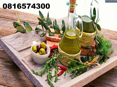 081-657-4300(Indosat) Jual Minyak Zaitun Brebes