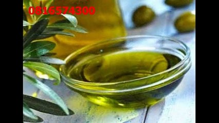 081-657-4300(Indosat) Jual Minyak Zaitun Jepara