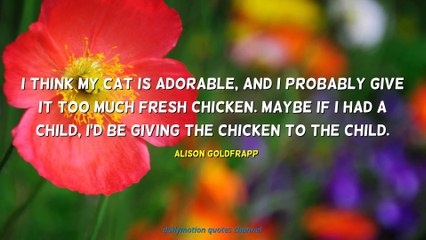 Alison Goldfrapp Quotes #2