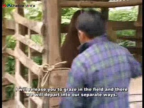 1975 Peb hmoob poob teb chaws - Part 1 - 1