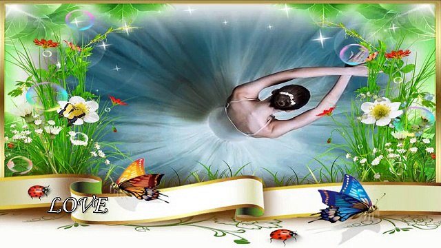 Özdemir Erdoğan - Bir Garip Yolcu