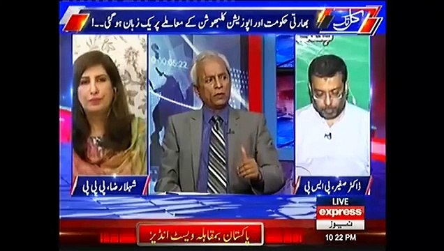 Javaid Ch grills Nihal Hashmi on the silence of the government. Watch video