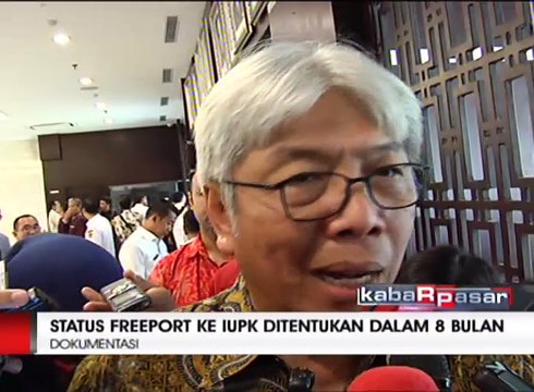 Freeport Diberi Izin Ekspor Konsentrat 8 Bulan