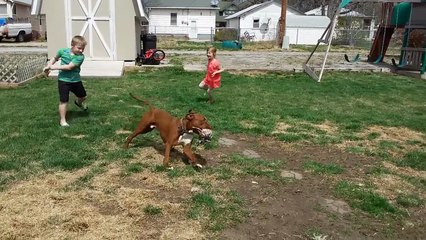 Best KID FAILS of APRIL 2017 - Funny Fail Compilation