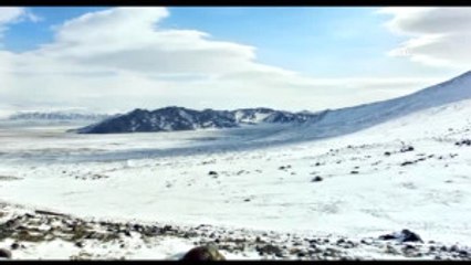 Sinema - Kartal Avcısı Kız