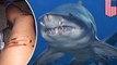 Shark attack survivor: girl escapes attack by going all United on shark - TomoNews