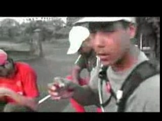 Manimal 974 sudkonscient - la danse des chiens