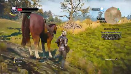 LETS PLAY : THE WITCHER 3 (42)