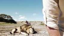 Des chasseurs punit pour avoir tué un lion.... karma strikes