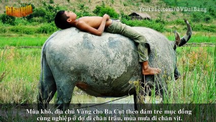 [Ba Cụt-P1]: Hỗn danh Ba Cụt | Thời kỳ cận vệ của Năm Lửa