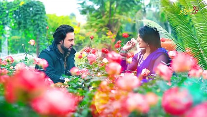 مات شوی دی بنگڑی دی